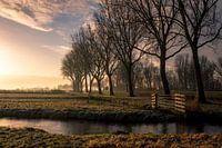 sunrise...