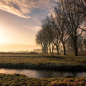 frühmorgens von Anneke Reiss