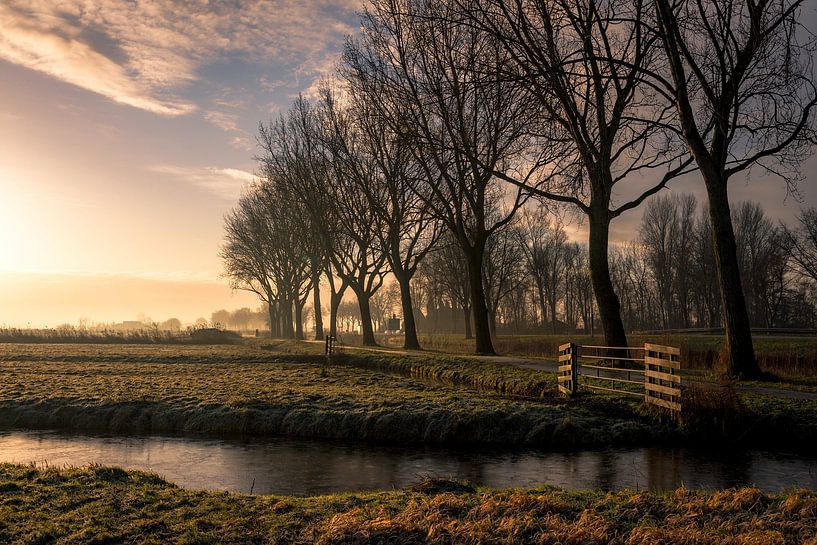 sunrise... by Anneke Reiss