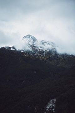 Doubtful Sound: unentdeckte Schönheit von Ken Tempelers