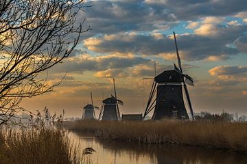Leidschendam - Windmühle Driegang von Frank Smit Fotografie