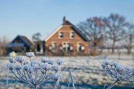 reife von Mariska Hofman
