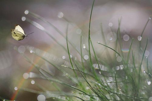 Unmittelbar bevorstehende Landung