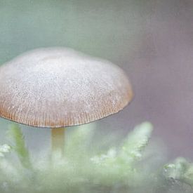 paddenstoel soft look van natascha verbij