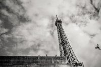 La Tour Eiffel vue de l'eau avec des pigeons à Paris un jour de pluie