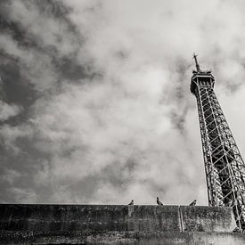 De Eiffeltoren vanaf het water met duiven in Parijs op een regenachtige dag van Laura de Kwant