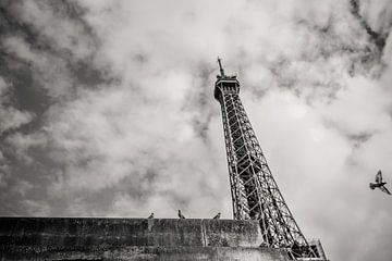 Der Eiffelturm vom Wasser aus mit Tauben in Paris an einem regnerischen Tag von Laura de Kwant