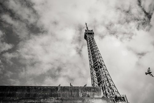 Der Eiffelturm vom Wasser aus mit Tauben in Paris an einem regnerischen Tag