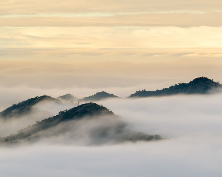 Sea of clouds around the mountains of Alishan by Jos Pannekoek