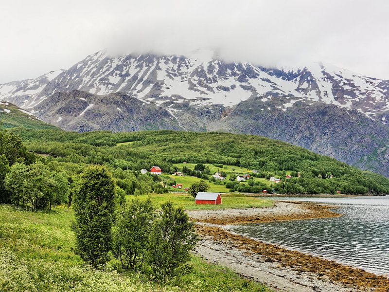 Sommer am Lyngenfjord - Idylle in Norwegen par Gisela Scheffbuch