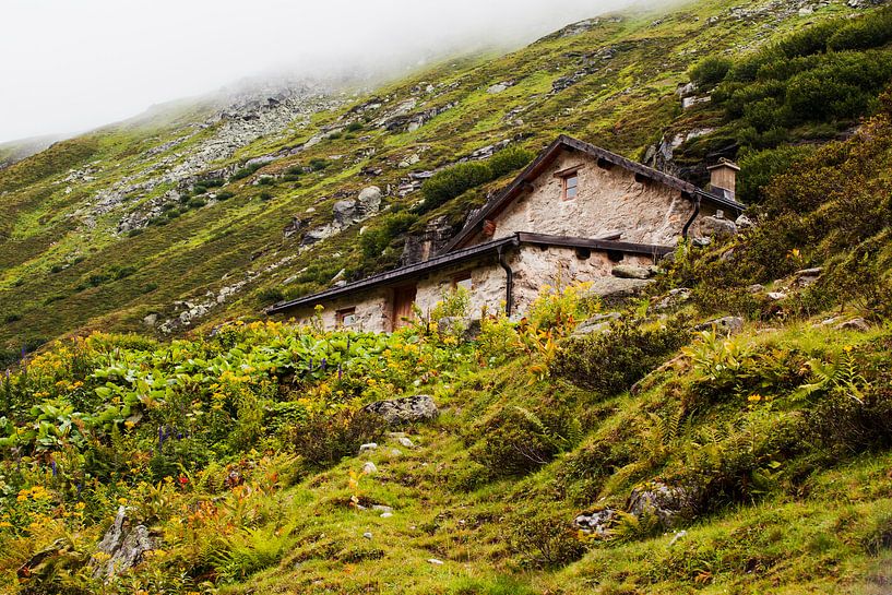 Chalet de mountagne par Fernand Reiter