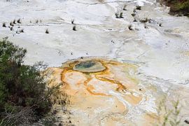 Faszinierende Muster von Frank's Awesome Travels