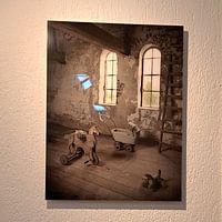 Photo de nos clients: Anciens jouets 3 par Herman Peters, sur aluminium