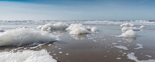 Panorama de la mousse sur la plage