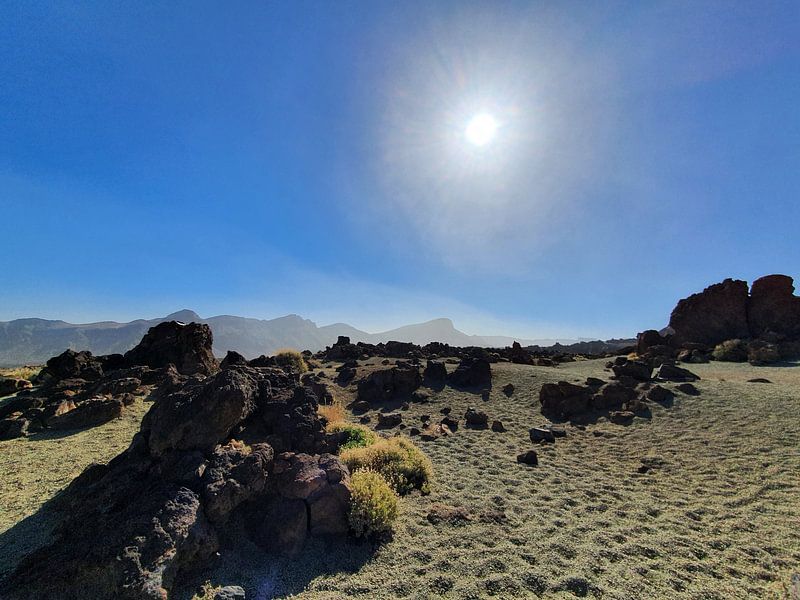 In de bergen #10 van zam art