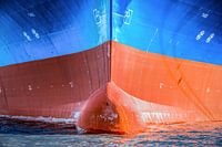 Ship's nose
