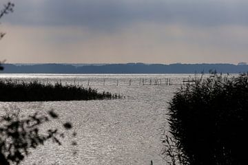 Usedom, Achterwasser van Thomas Jäger