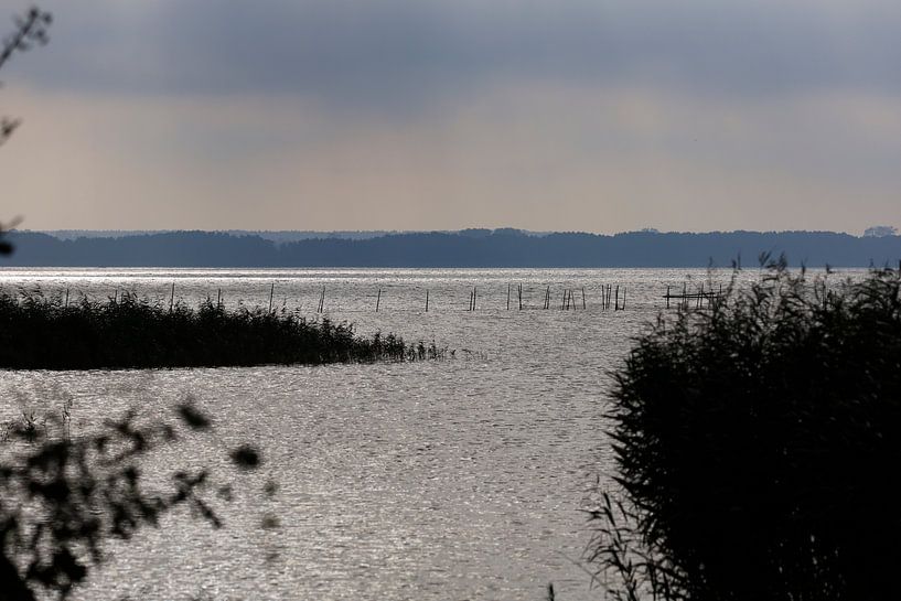 Usedom, Achterwasser von Thomas Jäger
