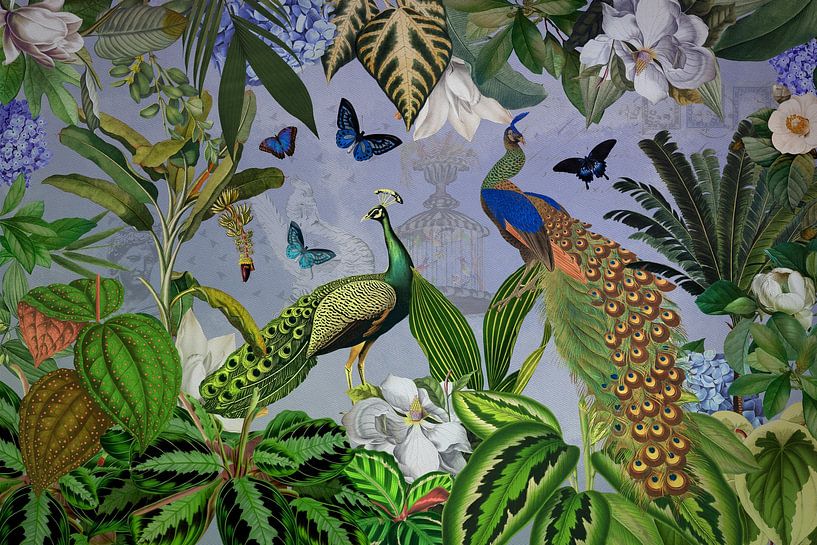 Exotischer Regenwald mit strahlenden Pfauen von Floral Abstractions