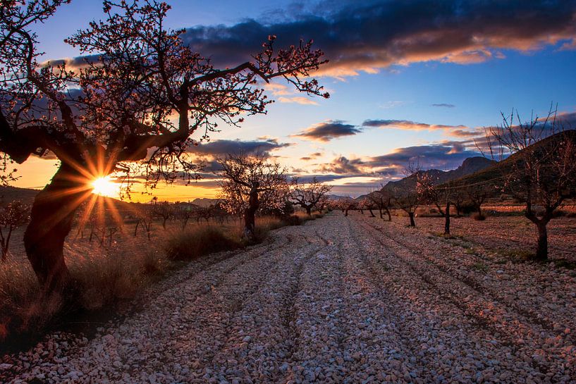 When the Sun goes down... van Henk Pijnappels