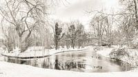 Winter in Park Buitenoord van Ad Van Koppen thumbnail