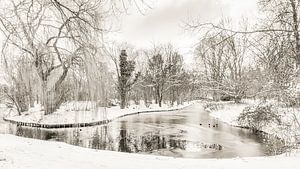 Barendrecht: Winter im Park Buitenoord