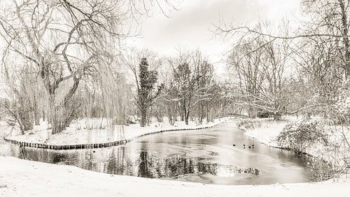 Winter in Park Buitenoord