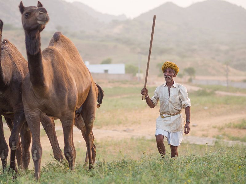 Négociant en chameaux à Pushkar, Inde par Teun Janssen
