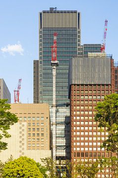 Tokio Keizerlijk Paleis en Nationale Tuin Kokyo (Japan) van Marcel Kerdijk