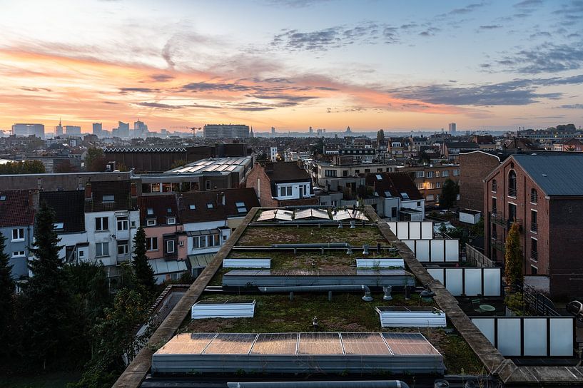 The rooftops of Brussels by Werner Lerooy