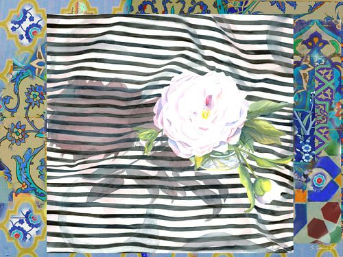 Peony Stripe Love