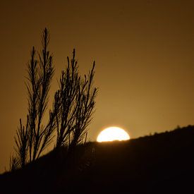 Sonnenuntergang auf Zakynthos von Els Royackers