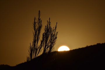 Sonnenuntergang auf Zakynthos von Els Royackers