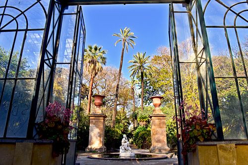 Prachtige palmbomen in de botanische tuin van Palermo