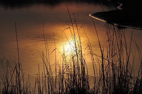Coucher de soleil sur esther snoeck