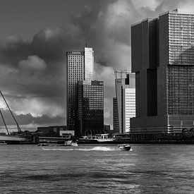 Das Rotterdamer Herbstlicht von Licht! Fotografie