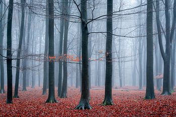 a little bit of autumn