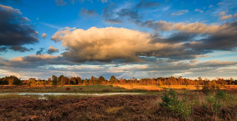 Superwolk von Karla Leeftink