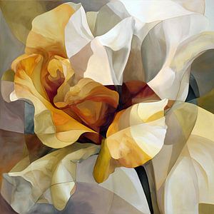 Frilly Tulpe