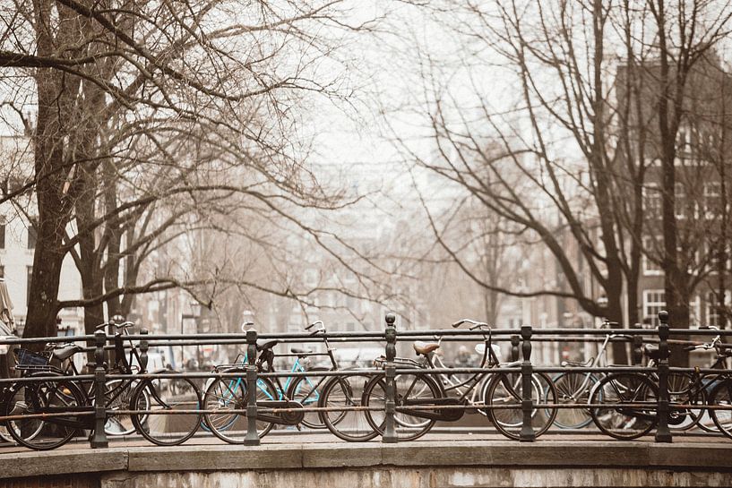 Go cycling anyway by Marleen Kuijpers @themissmarple