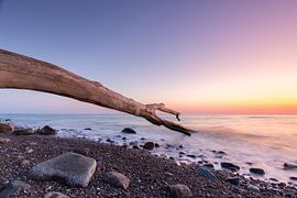 Brodtener Steifufer von Sven-Erik Arndt