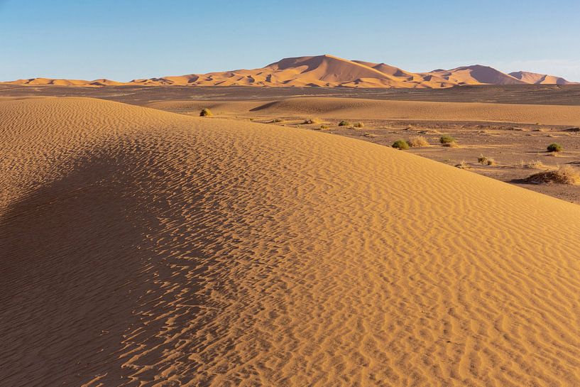 woestijnduin achtergrond op een blauwe hemel. Bergen en heuvels van gekleurd zand, Sahara Afrika. van Tjeerd Kruse