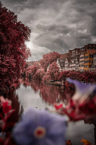 Neckar-Uitzicht in Tübingen
