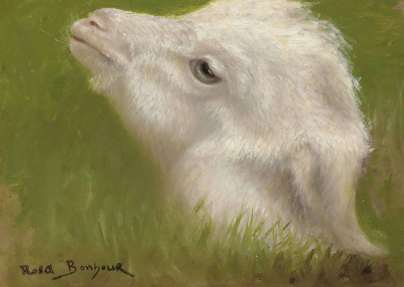 Der Kopf eines Lamms, Rosa Bonheur von Meisterhafte Meister