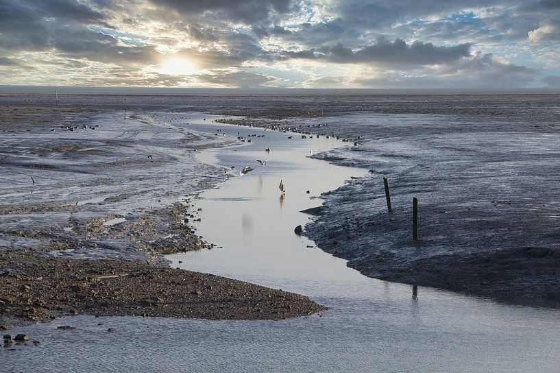 Wadden Sea by Jose Lok