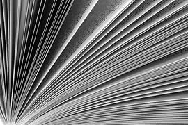 Bladeren von Stephan Van Reisen