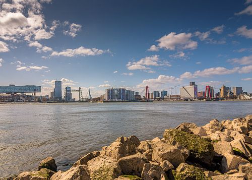 Zonnig Rotterdam