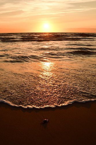 Coucher de soleil De Koog (Texel)