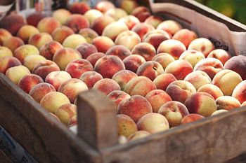des pêches fraîches dans une caisse de marché
