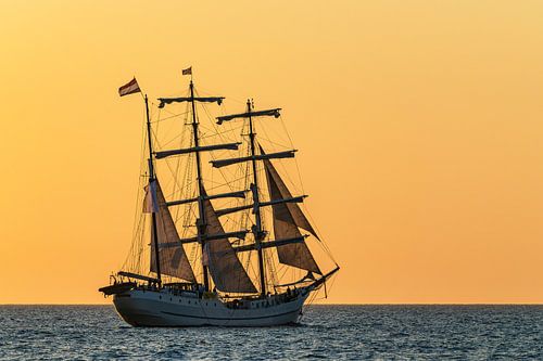 Zeilschip in de zonsondergang bij de Hanse Sail in Rostock